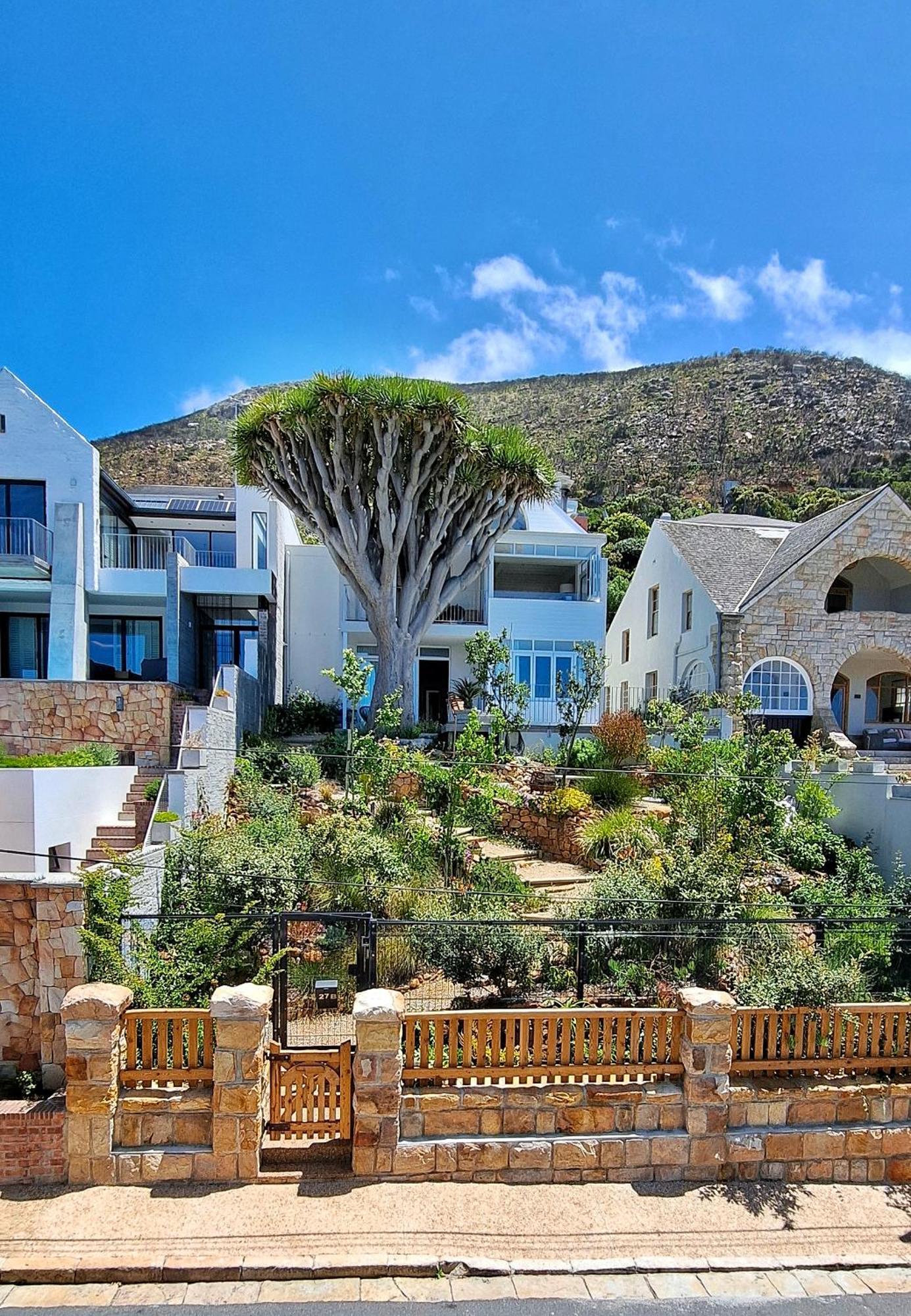 The Dragon Tree Guesthouse Kalk Bay Exterior foto